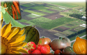 Eagle Creek Farms