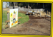 Farm Activities